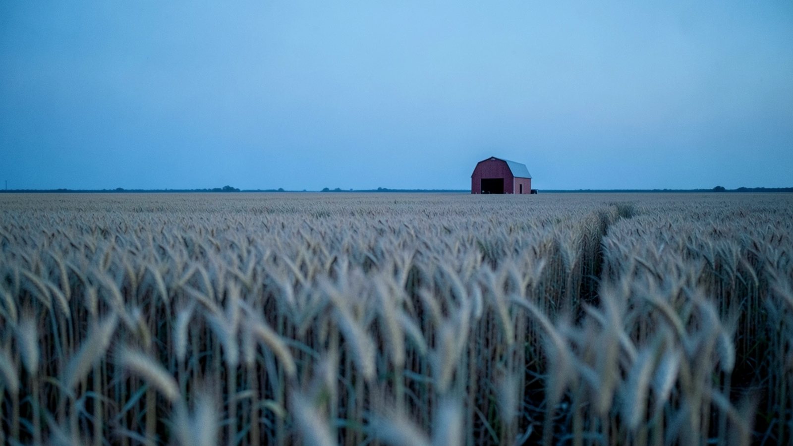 El USDA anuncia $8,000 millones en pagos a agricultores por el costo del diésel